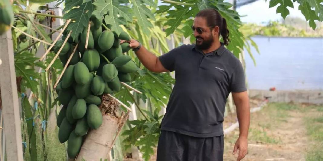Nektar fazlalığı sorununu avantaja çevirdi! Hem meyvesini hem balını üretiyor: Bulduğu çözüme kendisi bile şaşırıyor 1